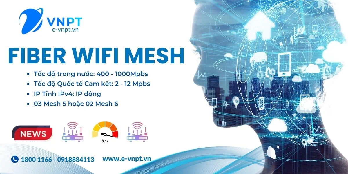 Fiber Wifi Mesh