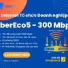 Internet Doanh nghiệp VNPT Gói FiberEco4 300Mpbs